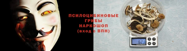 крисы Алзамай