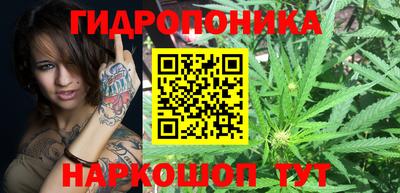 гашик Гулькевичи
