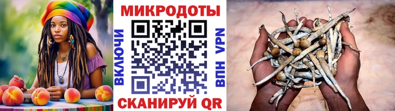 Галлюциногенные грибы ЛСД  наркота  Карабулак 