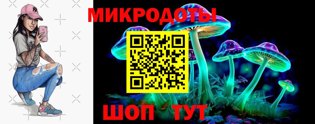 Карабулак  Псилоцибиновые грибы ЛСД  Галлюциногенные грибы Psilocybine cubensis  Вход с VPN 